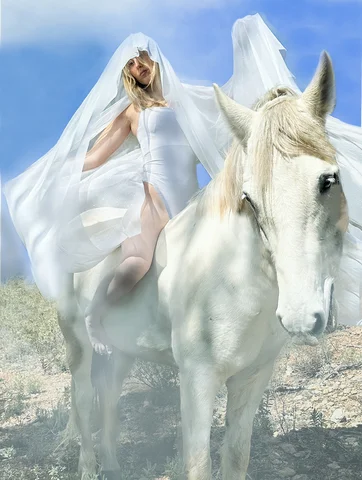A woman in a white veil with a white horse