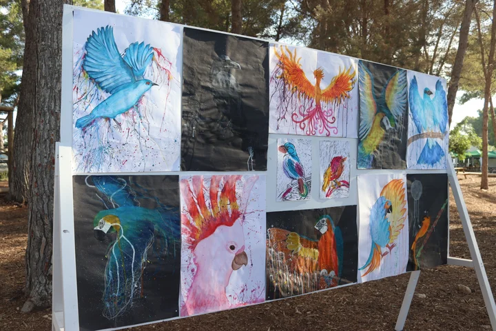 An outdoor board of bird paintings