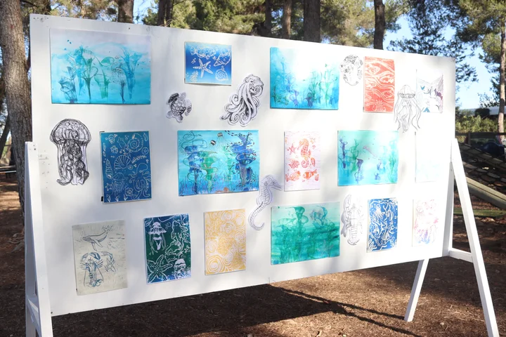 An outdoor board of ocean prints and jellyfish drawings