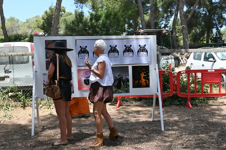 Visitors looking at photographs at the Art Exhibition