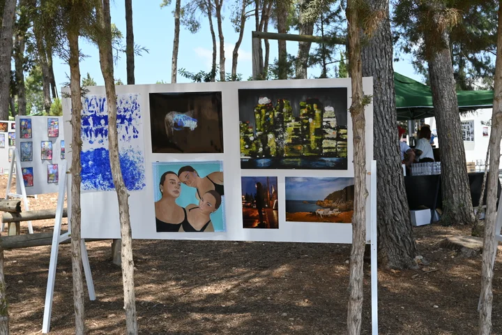 Paintings and photographs among the trees at the exhibition