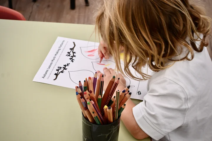 A pupil choosing from a pot of coloured pencils for leaf drawings
