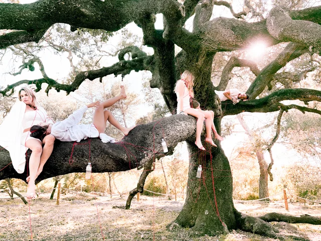 Girls in white dresses sitting in an old olive tree