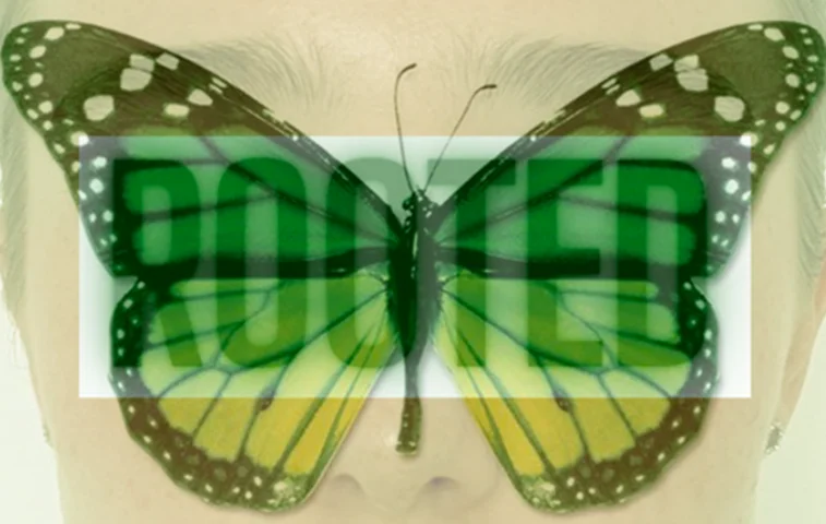 A butterfly layered over a face