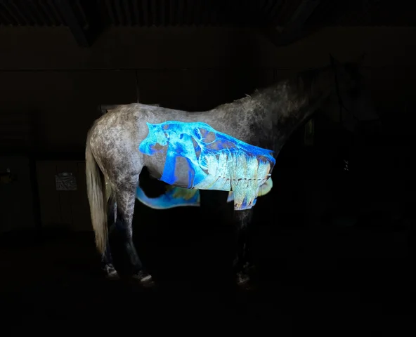 A horse in a dark stable lit with a projected blue skeleton