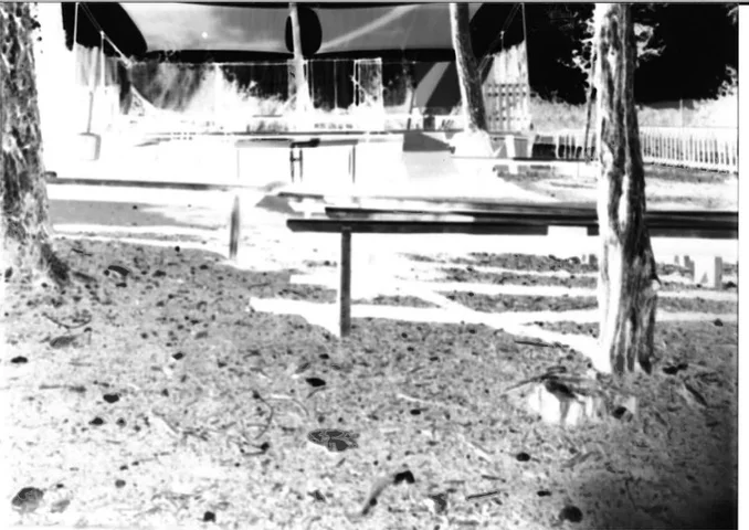 Inverted black and white photograph of a park bench