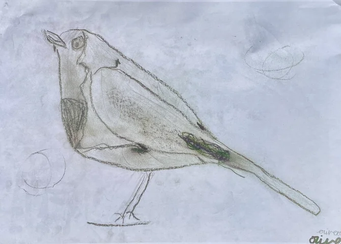 Pencil drawing of a small bird