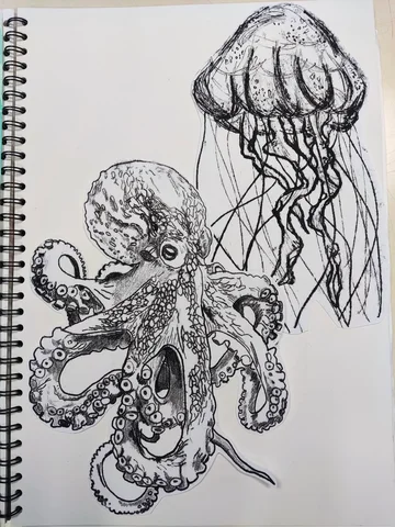 Sketchbook page with ink drawings of an octopus and a jellyfish
