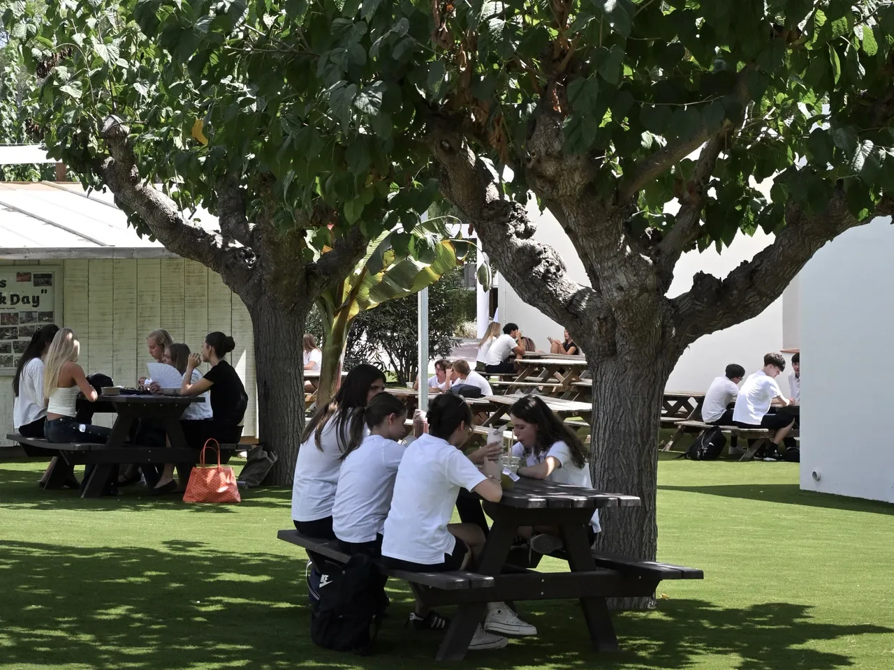 Students eating lunch at picnic tables under the trees on campus