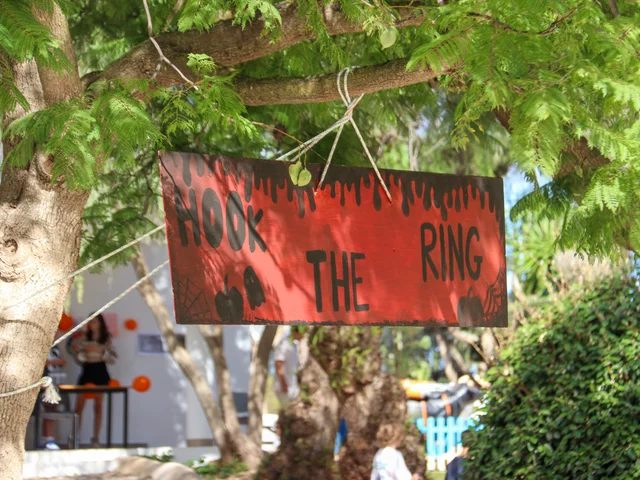 A hand-painted Hook the Ring sign hanging from a tree