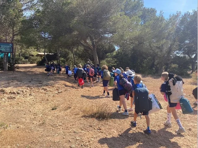 Year 4 pupils walking through the pine trees on their camping trip