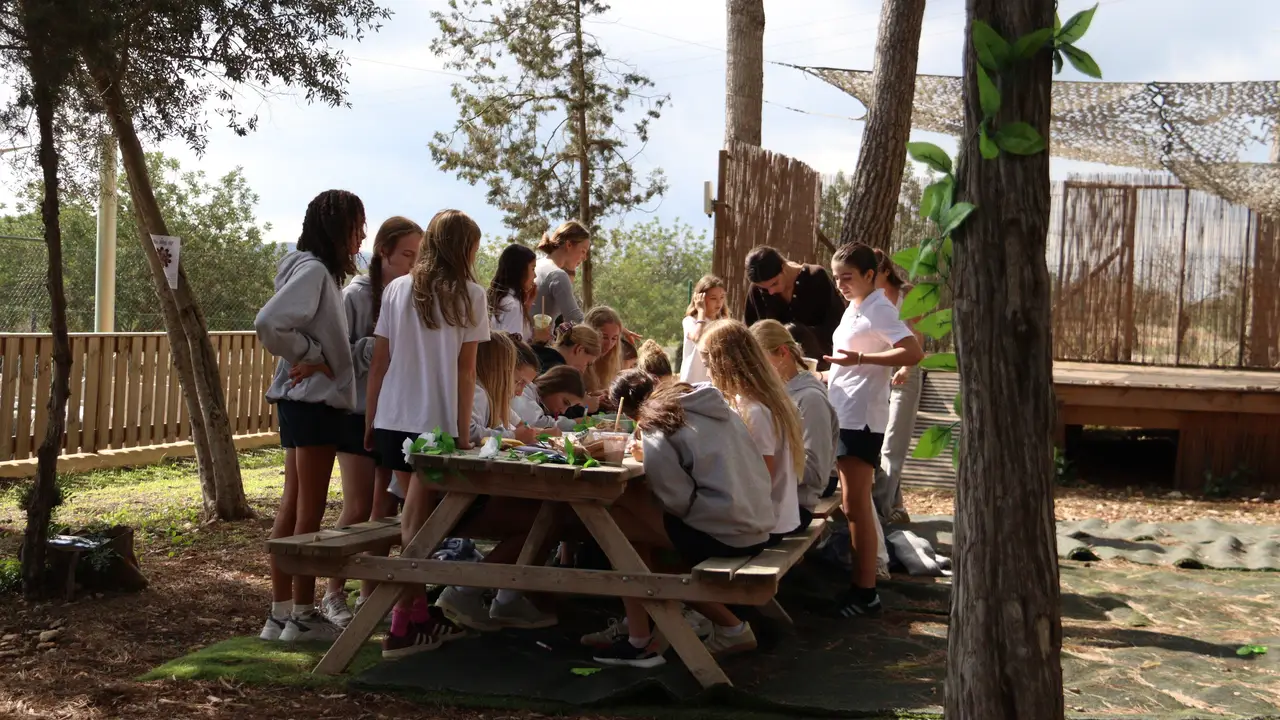 Morna students working together outdoors on campus